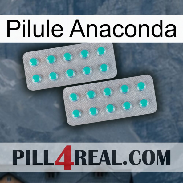 Anaconda Pill 29.jpg